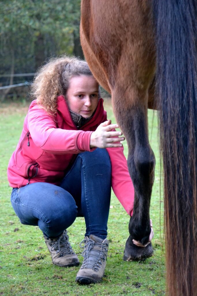 stretchen paard