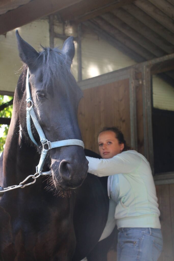Paardenmassage