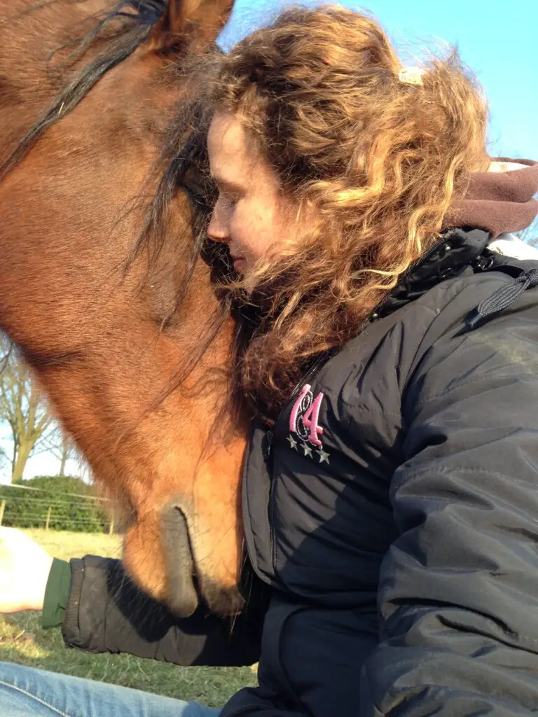 connectie paard