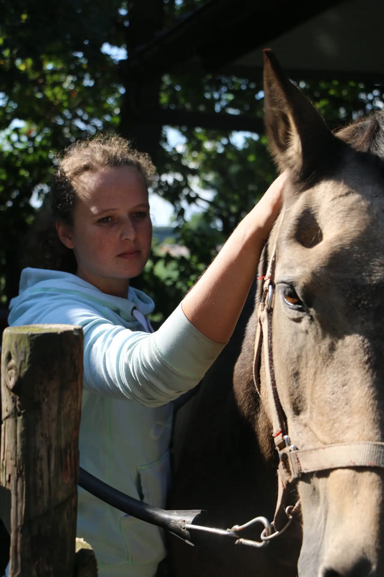 shiatsu voor paarden